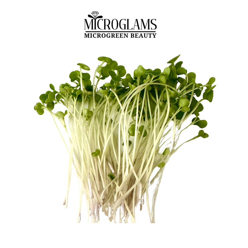 Kale microgreens