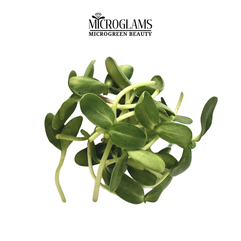 Broccoli microgreens