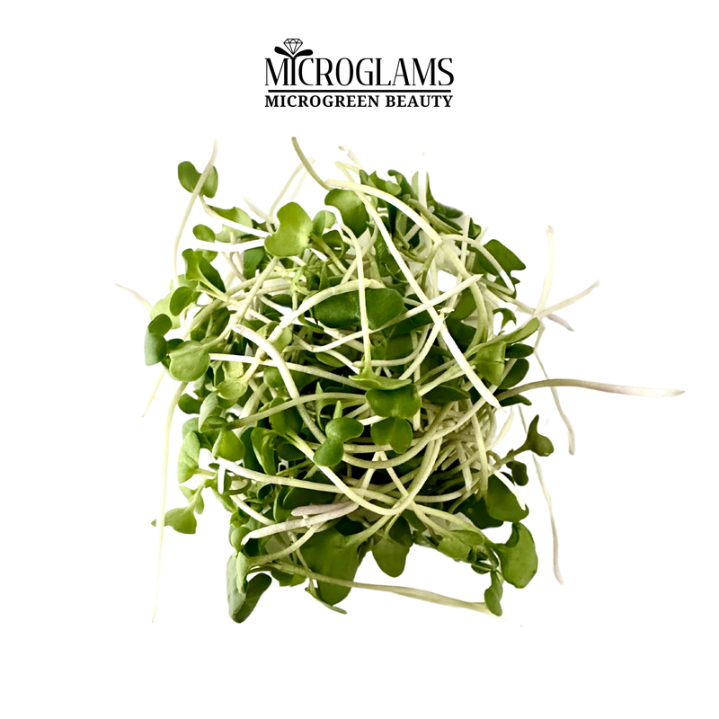 Cantaloupe microgreens