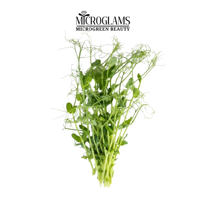 Sunflower microgreens