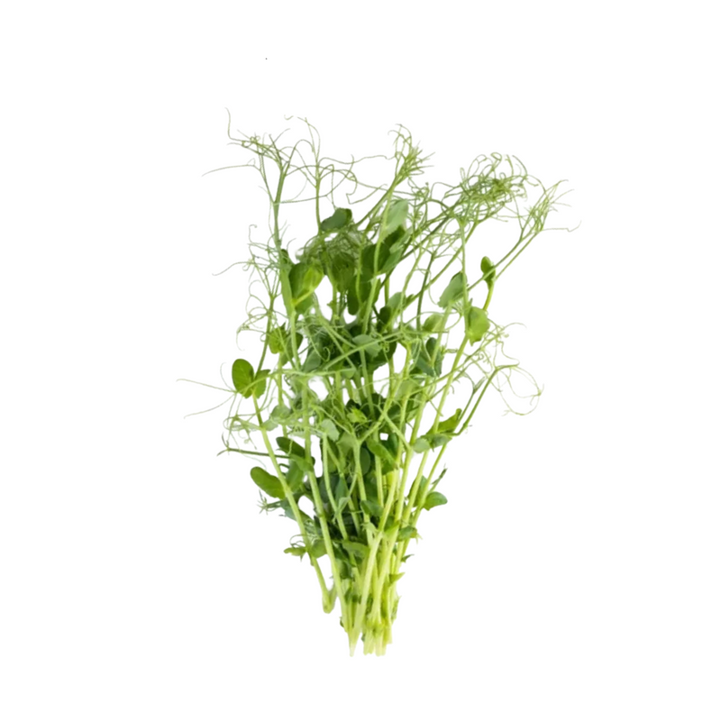 Pea microgreens