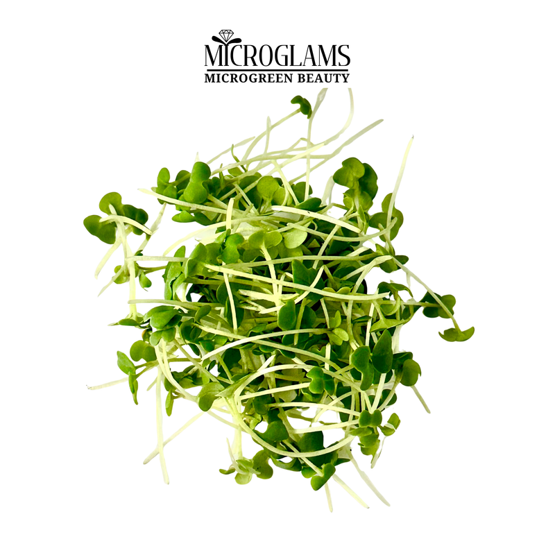 Wasabi microgreens